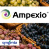Ampexio fungicid