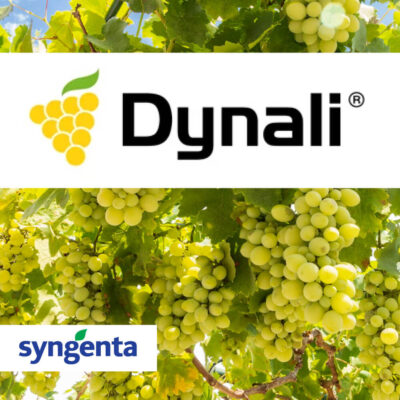 Dynali fungicid