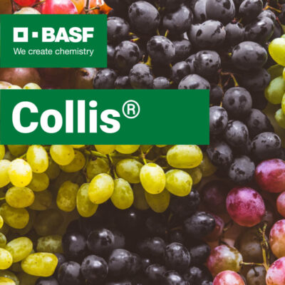 Collis fungicid