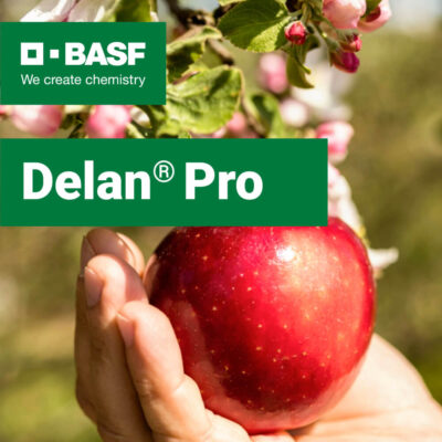 Delan Pro fungicid