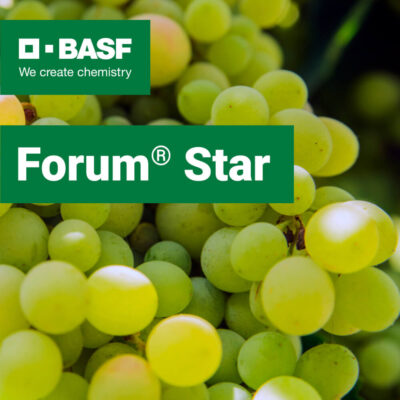 Forum Star fungicid