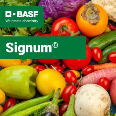 Signum fungicid