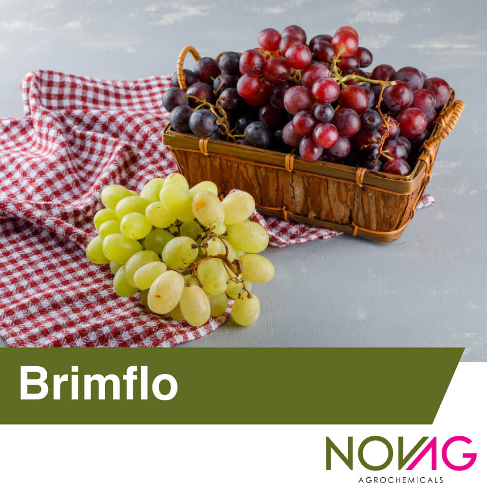 Tekući sumpor Brimflo