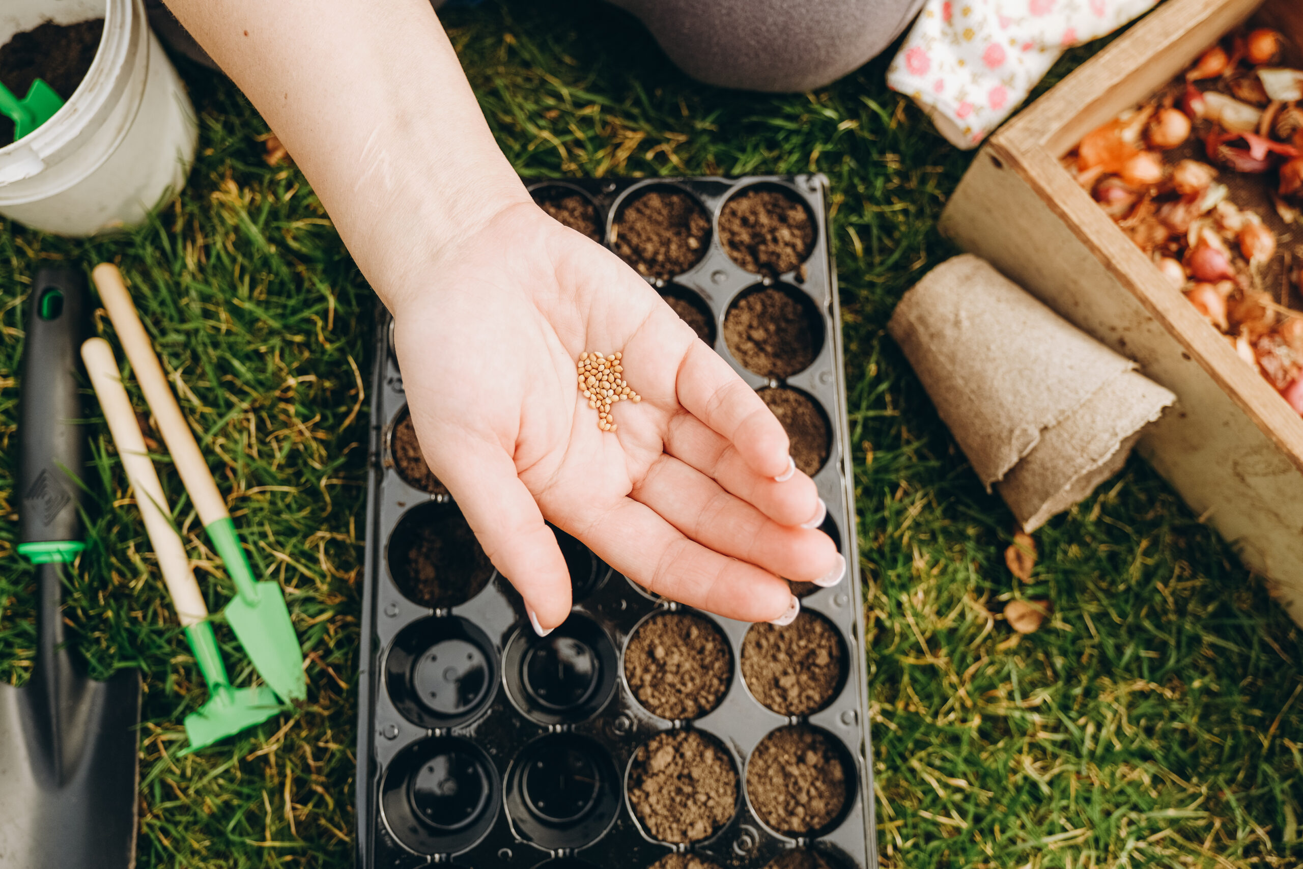 agronom sadnja biljaka
