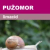 Pužomor