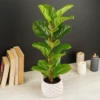 Biljka umjetna 60 cm
