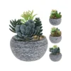 Umjetna biljka sukulent u ukrasnoj posudi 17 cm