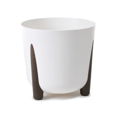 Cvjetnjak Frida bijeli