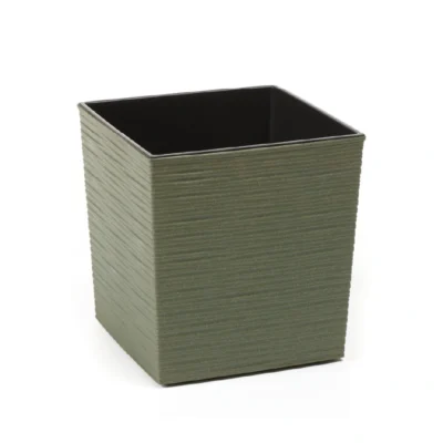 Cvjetnjak Juka zeleni