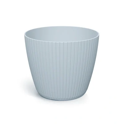 Cvjetnjak Lamia sivi