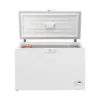 Beko zamrzivač HSM40031