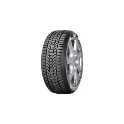 Guma 205-50R17 93V Eskimo HP 2 XL Sava