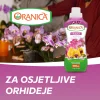 Oranica orhideje