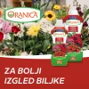 Oranica Sobno cvatuće bilje