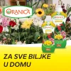 Oranica Universal