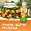 Oranica agrumi