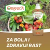 Oranice povrće
