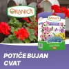 Oranica granulirano gnojivo za cvijeće