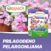 Oranica granulirano gnojivo za cvijeće